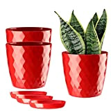 ORTEN Lot de 3 Pots de Fleurs d'intérieur en Plastique pour Toutes Les Plantes d'intérieur, Herbes, Cactus, orchidées, Plantes Grasses ...