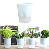 Oyfel Pot de Fleur Vase Plastique Transparent Absorption Automatique d'eau pour Succulente Cactus Balcon Jardin 1 Pcs