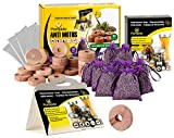 pampido Mix Box Sachets de Lavande avec Protection Contre Les Mites pour contrôle de l'alimentation de Cuisine et piège à ...