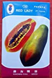 Pinkdose rouge dame 786 papaye graines Taiwan semences