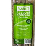 Plant it 10–480–055 Lot de 25 Tuteurs en Bambou de 90 cm Beige