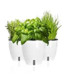 POKAR Lot de 3 Pots pour Herbes Fraîches Aromatiques Arrosage Automatique Indicateur de Niveau D'eau 19x18x11 cm