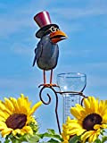 Pommerntraum ® | Pluviomètre Pluviomètre - Monsieur le Prof. Dr. Rabe - Oiseau fou avec chapeau | Superbe décoration de ...