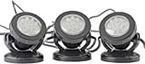 Pontec 57520 PondoStar LED Set de 3 - 3x50x70 mm, Noir
