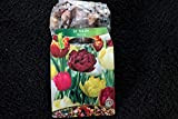 Portal Cool 20 tulipes bulbes de fleurs, rempli Mix 106 Bz