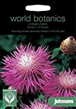 Portal Cool Johnsons Monde Botanics Fleur - Bleuet persane Bleuet - 100 graines