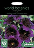 Portal Cool Johnsons Monde Botanics Fleur Pictorial Pack - Salpiglossis Kew Blue - 50 graines
