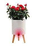 Pot de Fleur Intelligent avec Support, Yuepin Pots de Plantes Intérieur & Extérieur, Bac à Fleurs Auto-Irrigation en Plastique Rond, ...