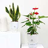 Pot de fleurs auto-arrosant pour l'intérieur - Plastique transparent - Double couche - Réservoir d'eau - Absorption automatique de l'eau ...