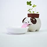 Pot de fleurs avec animal mignon Peropon de SmartLife qui boit avec la langue pot de fleurs en céramique d'arrosage ...