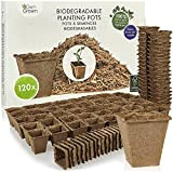 Pots de Culture Biodegradable carrés: kit 120x Pot de semis de Fleur et Plante en Fibres de Bois biodégradables pour ...