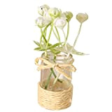 Pots de fleurs miniatures - Pot de fleurs miniature réaliste - Petite décoration faite à la main - Légers - ...