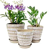 Pots de Fleurs Ø 19/16,5/14 cm Pots à Plantes Interieur en Plastique avec Trous de Drainage et Soucoupe Pot de ...