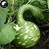 Potseed Acheter Calabash Gourd Graines 10pcs Plante Melon légumes calebasse Swan