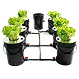 RainWeel Hydroponik DWC Kit de culture hydroponique pour plantes profondes 7 Bucket 20 l pour légumes, fleurs, fruits, maison, extérieur