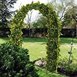 RAM ONLINE Grande arche de jardin en métal noir de 2,4 m, robuste, robuste, pour roses, plantes grimpantes, décoration de ...