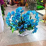 Rare orchidée! Graines Papillon 10pcs Bonsai Balcon Fleur d'orchidée Phalaenopsis ciel bleu bricolage jardin