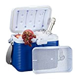 Relaxdays petite glacière portable, avec poignée, mini glacière, sans électricité, 8L, HBT 23,5 x 31 x 21 cm, blanc-bleu