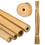 Relaxdays Tiges 150 cm, Naturel, bâtons en Bambou comme tuteur ou décoration, pour bricoler, Couleur, Nature, 25 Stück