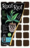 Root riot x 24 - bouturage- germination - Growth technology - Prrr24