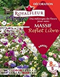 Royalfleur PFRE08355 Graines de Mélange de Fleurs mon Massif Reflet Libre 8 m²