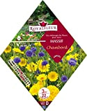 Royalfleur PFRK08692 Graines de Mélange de Fleurs mon Massif Chambord 3 m²