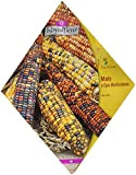 Royalfleur PFRV00033 Graines de Maïs à Epis Multicolores