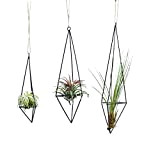 RThNDM Himmeli Lot de 3 supports pour plantes aériennes en métal avec corde de jute Tillandsia - Support pour fleurs ...