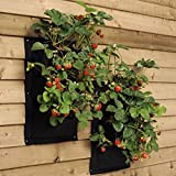 Sac Végétal pratique avec 7 Pockets Accrocher Mur Végétal Extérieur Jardinières Extérieur pour Jardin Décoration Intérieure