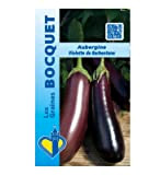 Sachet de graines de Aubergine violette de Barbentane - 1,5 g - légume fruit - LES GRAINES BOCQUET
