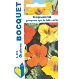 Sachet de graines de Capucine grimpante Hyb de Lobb variée - 5 g - fleur annuelle - LES GRAINES BOCQUET
