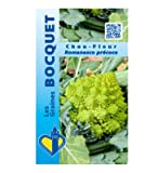 Sachet de graines de Chou fleur vert Romanesco précoce - 1 g - légume fleur - LES GRAINES BOCQUET