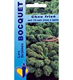 Sachet de graines de Chou frisé vert demi nain (Chou Kale) - 3 g - légume feuille - LES GRAINES ...