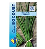 Sachet de graines de Ciboulette Commune (civette) - 1 g - légume tige - LES GRAINES BOCQUET