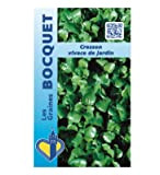 Sachet de graines de Cresson vivace de jardin - 5 g - légume feuille - LES GRAINES BOCQUET