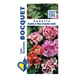 Sachet de graines de Godétia double à fleur d'azalée varié - 1,5 g - fleur annuelle - LES GRAINES BOCQUET