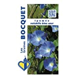 Sachet de graines de Ipomée volubilis bleu azur - 3 g - LES GRAINES BOCQUET