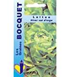 Sachet de graines de Laitue d'hiver Val d'orge - 4 g - légume feuille - LES GRAINES BOCQUET