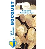 Sachet de graines de Lunaire Monnaie du Pape - 2 g - fleur bisannuelle - LES GRAINES BOCQUET