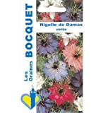Sachet de graines de Nigelle de Damas variée - 2 g - fleur annuelle - LES GRAINES BOCQUET