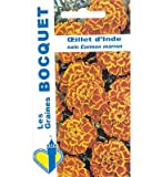 Sachet de graines de Oeillet d'Inde demi nain marron - 1,2 g - fleur annuelle - LES GRAINES BOCQUET