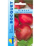 Sachet de graines de Oignon rouge foncé de Brunswick - 4 g - légume racine - LES GRAINES BOCQUET