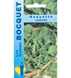 Sachet de graines de Roquette cultivée - 5 g - légume feuille - LES GRAINES BOCQUET