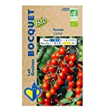 Sachet de graines de Tomate Cerise - Certifiée ECOCERT FR-BIO-01 - 0,1 g - légume fruit - LES GRAINES BOCQUET