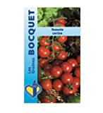 Sachet de graines de Tomate Cerise rouge - 0,5 g - légume fruit - LES GRAINES BOCQUET