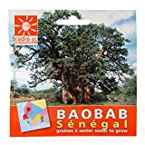 Sachets graines exotiques (Baobab du Sénégal)