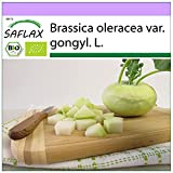 SAFLAX - BIO - Chou-rave - Superschmelz - 20 graines - Brassica oleracea