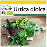 SAFLAX - BIO - Grande ortie - 2000 graines - Urtica dioica