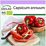 SAFLAX - BIO - Poivron - California wonder - Rouge - 20 graines - Capsicum annuum