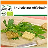 SAFLAX - Jardin dans le sac - BIO - Livèche - 100 graines - Avec substrat de culture dans un ...